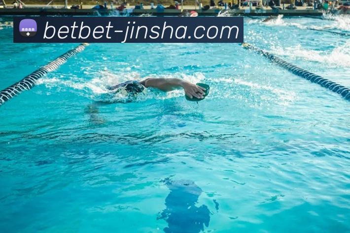 金沙娱乐城平台生态图